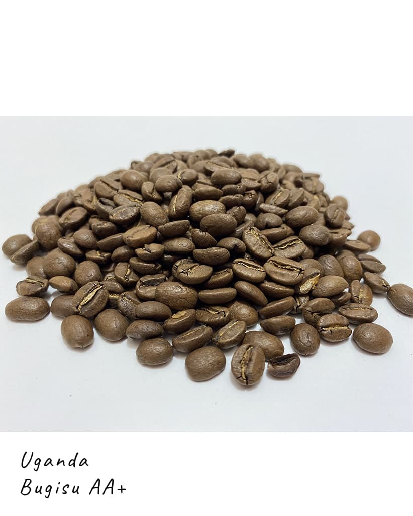 Кофе в зернах Уганда Бугису АА+ (Bugisu AA Plus) 2