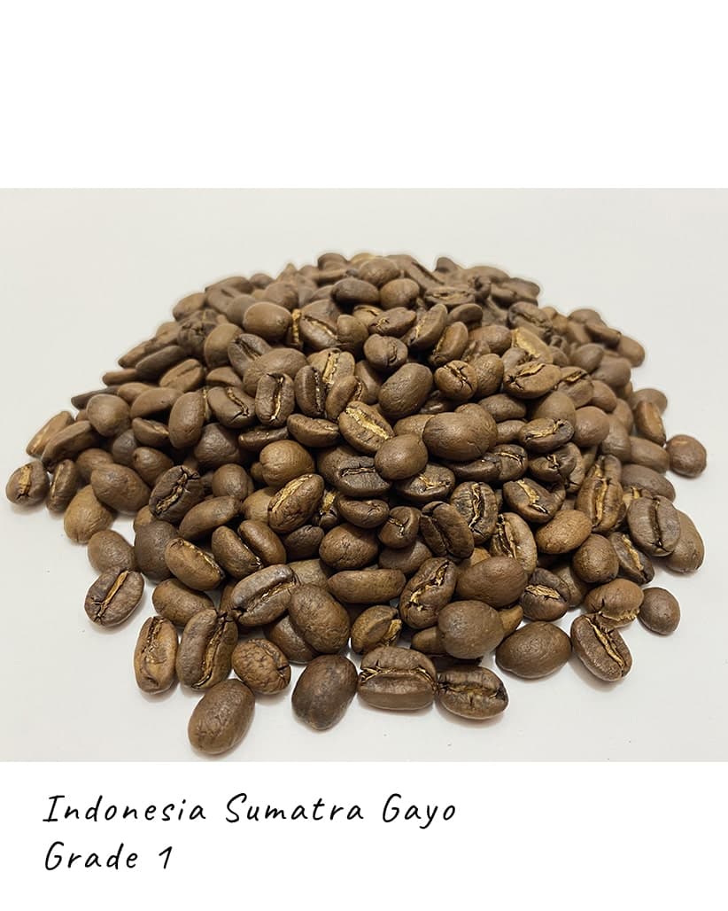 Кофе в зернах Индонезия Суматра Гайо (Sumatra Gayo Gr.1 Organic) 2