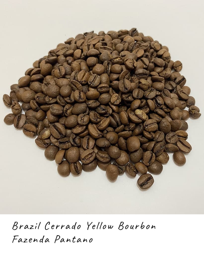Кофе в зернах Бразилия Желтый Бурбон Серрадо Фазенда Пантано (Cerrado Yellow Bourbon - Fazenda Pantano) 2